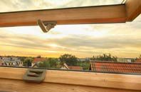 rated Dial Green roof window companies